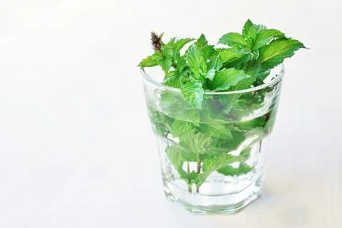 Fresh green mint Foto stock