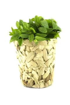 Fresh green mints Stock Photos