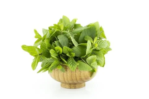 Fresh green mints Stock Photos