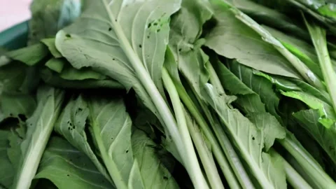 Fresh green mustard Stock Footage 295079837