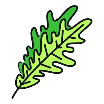 Fresh green oak leaf lettuce vegetable vector icon Stock Illustration