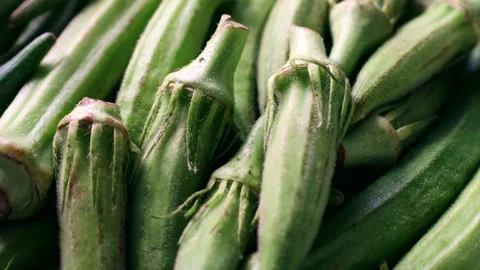 Fresh green okra vegetables (lady fingers, gumbo) circle rotation close up Stock Footage 257123788