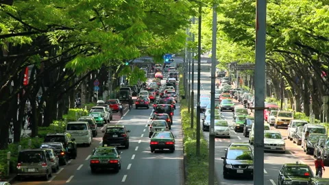 Fresh Green Omotesando Video stock 327560918