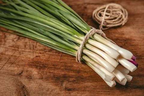 Fresh green onion Stock Photos