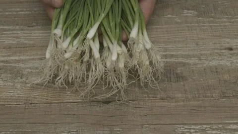 Fresh green onions with roots on a rustic wooden surface, highlighting their Stockbeeldmateriaal 282783374