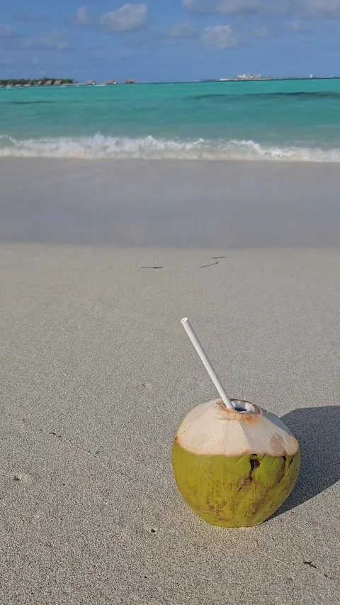 Fresh green opened coconuts fruit with straw on sandy Maldives beach with turquo Stock Footage 328165479