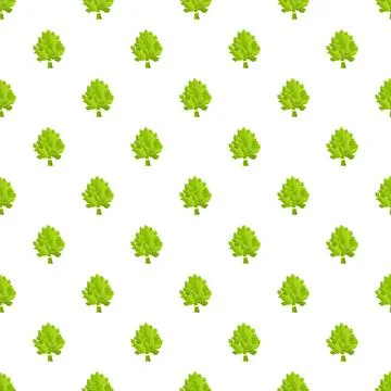 Fresh green parsley herb pattern on white background Stock Illustration