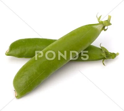 Fresh green pea pod Stock Photos