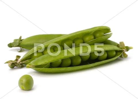 Fresh green pea pod Stock Photos