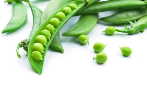 Fresh green pea pod Stock Photos