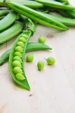 Fresh green pea pod Stock Photos