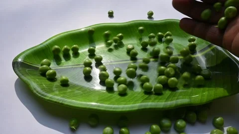 Fresh green pea on white background. 库存影片 264022084