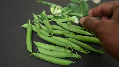 Fresh Green peas. Stock Footage 262322745