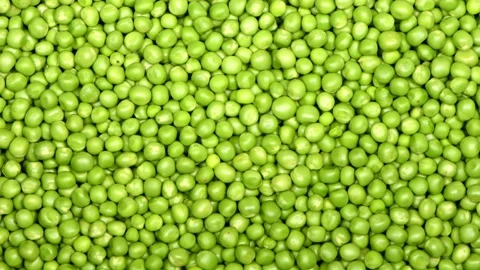 Fresh green peas. Loop motion. Top view. Rotation 360. Stock Footage 160818013