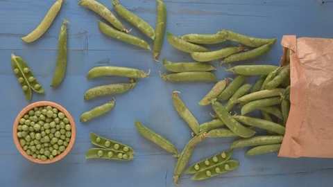 Fresh green peas on rustic blue wooden table. Stock Footage 80588929