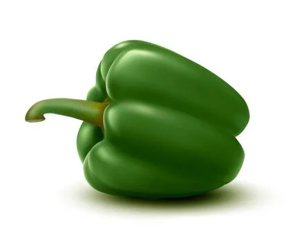 Fresh green pepper. vector Stock Illustration