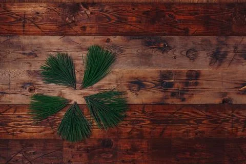 Fresh green pine tree branches on wooden background, top view, copy space. Stock Photos