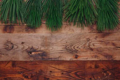 Fresh green pine tree branches on wooden background, top view, copy space. Stock Photos