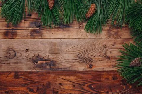Fresh green pine tree branches and fir cones on wooden background, top view Stock-Fotos