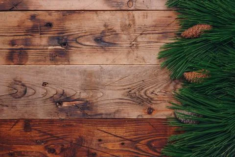 Fresh green pine tree branches and fir cones on wooden background, top view Stock Photos