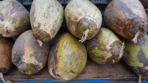 Fresh Green Raw Coconuts Piled at Local Market Stall for Selling 写真素材