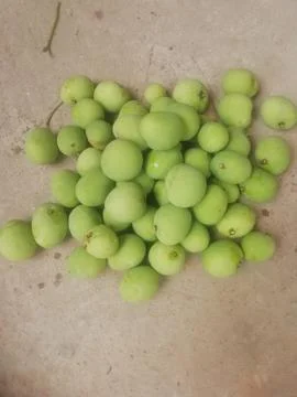Fresh green raw mango isolated. Stock Photos