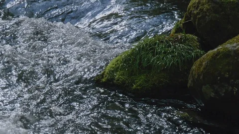 Fresh green river slow motion in Nagano, Japan. Stock Footage 108624932