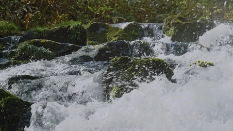 Fresh green river slow motion in Nagano, Japan. Stock Footage 108628702