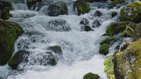 Fresh green river slow motion in Nagano, Japan. Stock Footage 108629893