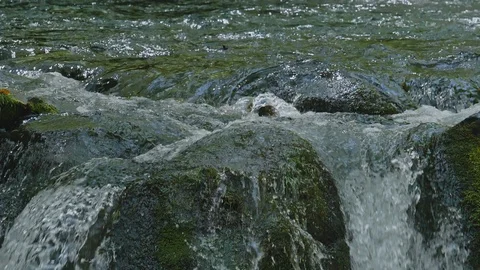 Fresh green river slow motion in Nagano, Japan. Stock Footage 108630278