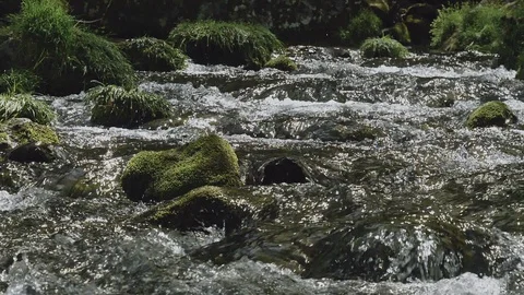 Fresh green river slow motion in Nagano, Japan. Stock Footage 108632049
