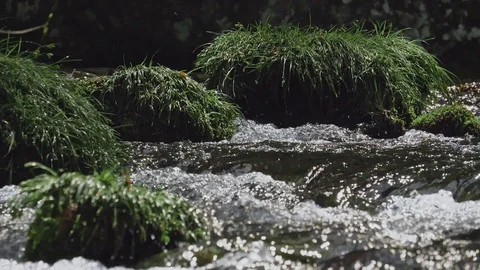 Fresh green river slow motion in Nagano, Japan. Stock Footage 108632679