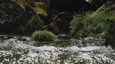 Fresh green river slow motion in Nagano, Japan. Stock Footage 108632807