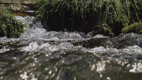 Fresh green river slow motion in Nagano, Japan. Stock Footage 108633488