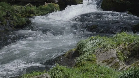 Fresh green river slow motion in Nagano, Japan. Stock Footage 108633725