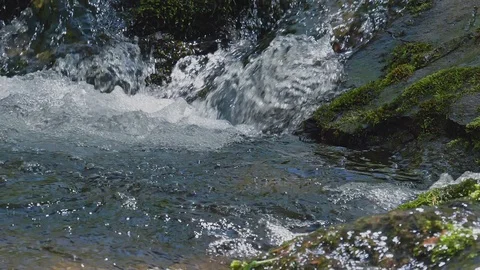 Fresh green river slow motion in Nagano, Japan. Stock Footage 108634501