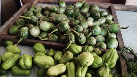 Fresh green round eggplants and chayote squash on display Stock Footage 346659579