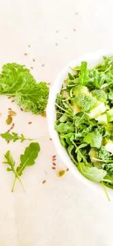 Fresh green salad Stock Photos