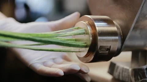 Fresh green spaghetti pasta with spinatte coming out of pasta machine, close up Stock Footage 130812397
