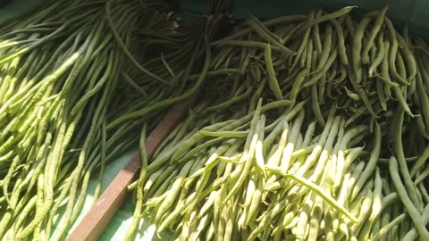 Fresh green string beans and long beans on display Stock Footage 346659523