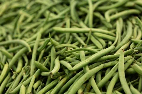 Fresh Green String Beans Stock Photos