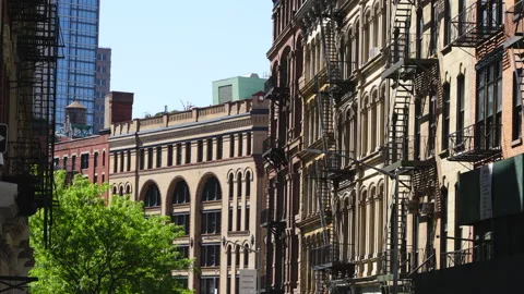 Fresh green trees glow in front of row of Loft buildings at TRIBECA Video stock 138373633