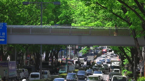 Fresh green trees surround the Omotesando Avenue in Harajuku Shibuya Tokyo Japan Stock Footage 198544253