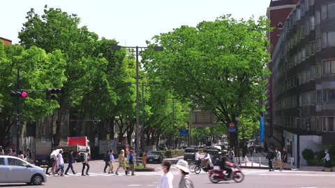 Fresh green trees surround the Omotesando Avenue in Harajuku Shibuya Tokyo Japan Stock-Footage 199687421