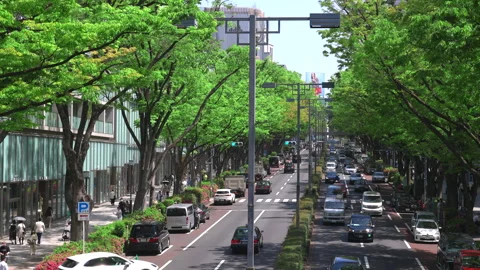 Fresh green trees surround the Omotesando Avenue in Harajuku, Tokyo, Japan 2022. Vídeos de archivo 200848651