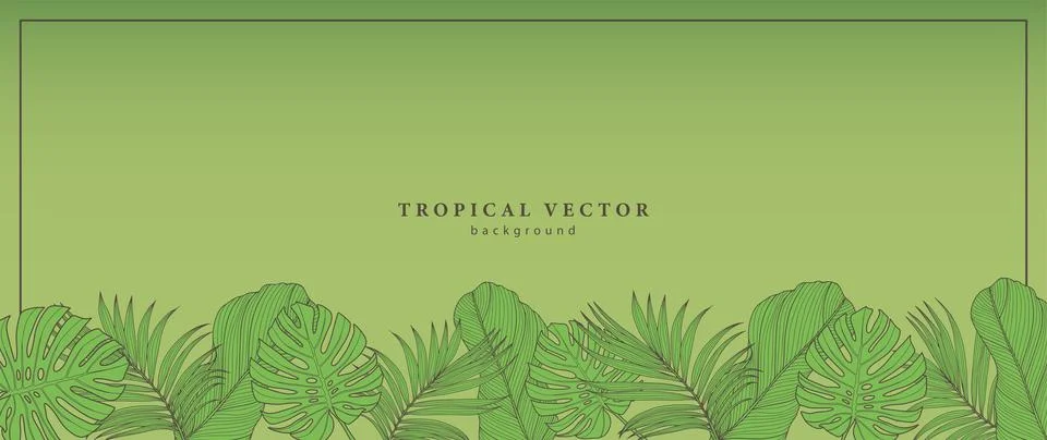 Fresh green vector tropical background with palm leaves, monstera Stock Illustration