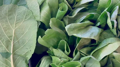 Fresh green vegetables displayed at local market Stock Footage 340480292