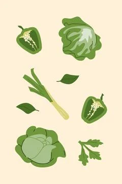 Fresh green vegetables pattern with peppers and lettuce on beige background Stock Illustration