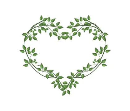 Fresh Green Vine Leaves in A Heart Shape Stock Illustration