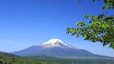 Fresh Greenery and Mount Fuji 库存影片 332474525